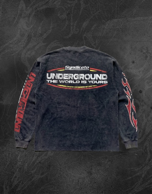 THE WORLD IS YOURS LONG SLEEVE